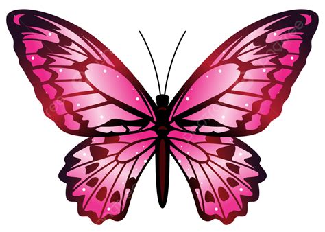 butterfly vector png|butterfly png real.